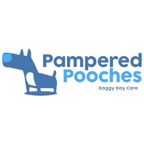 pamperedpooches1